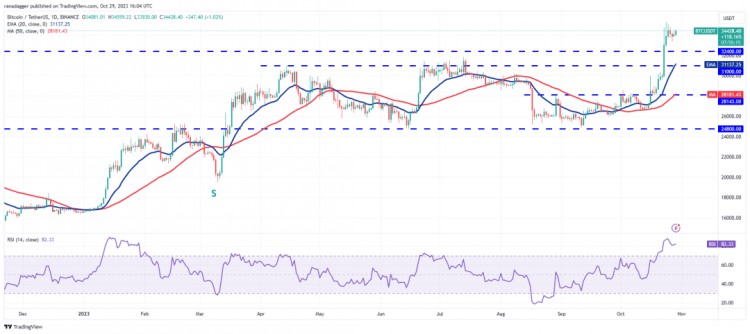 比特币上涨3.5 万！这四枚硬币可能会大幅反弹，散户还能进场吗？