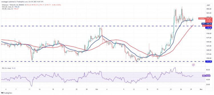 比特币上涨3.5 万！这四枚硬币可能会大幅反弹，散户还能进场吗？