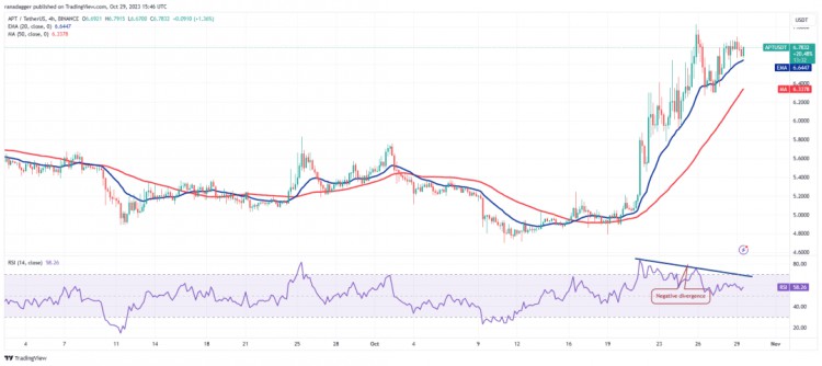 比特币上涨3.5 万！这四枚硬币可能会大幅反弹，散户还能进场吗？