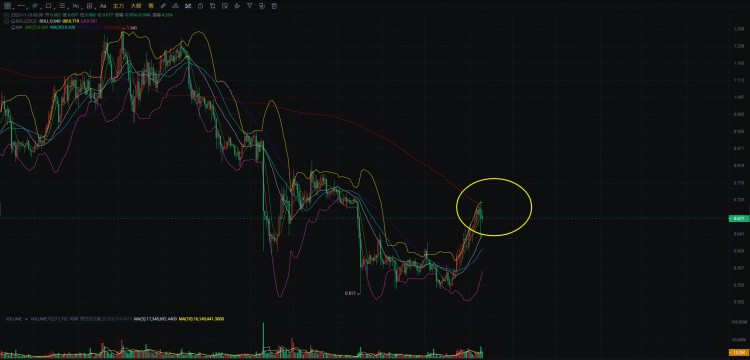 EOS柚子:自治社区与代币经济的重要性