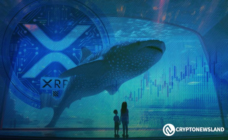 XRP 会涨至 6 美元？市场分析师预测解释