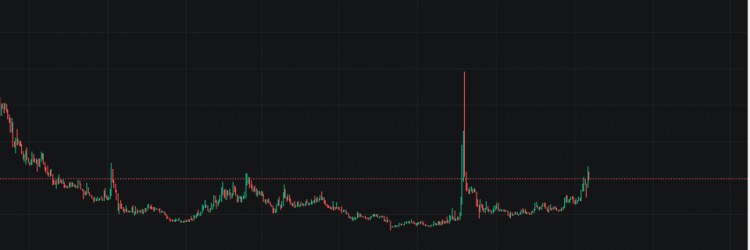 馅饼到顶了吗？是否应该大幅下跌？抄底什么山寨币？