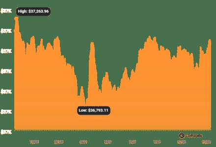 2023 与黄金相比，年比特币飙升 93%