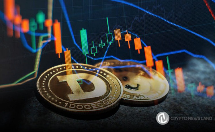 Dogecoin Soars 39% From October Low: Analyst Antic