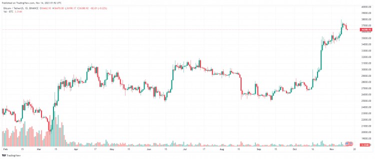 11 月 14 日：比特币（BTC）失守 37,000 美元大关，山寨币横盘走红