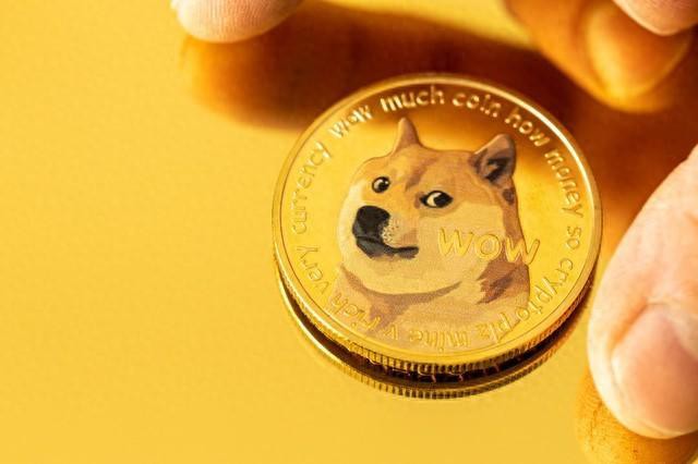 狗币大幅上涨预期：100% DOGE 价格可能会暴涨！