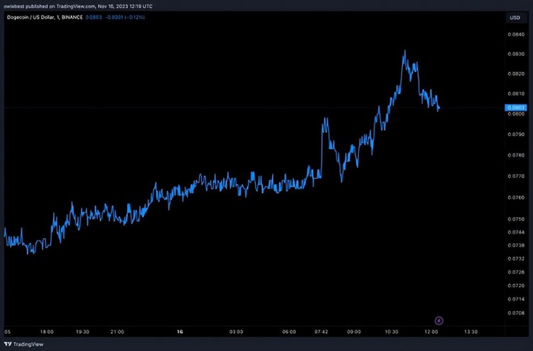 狗币大幅上涨预期：100% DOGE 价格可能会暴涨！