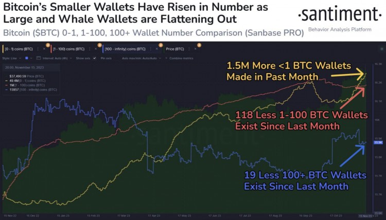 报告：小虾钱包推动比特币价格上涨