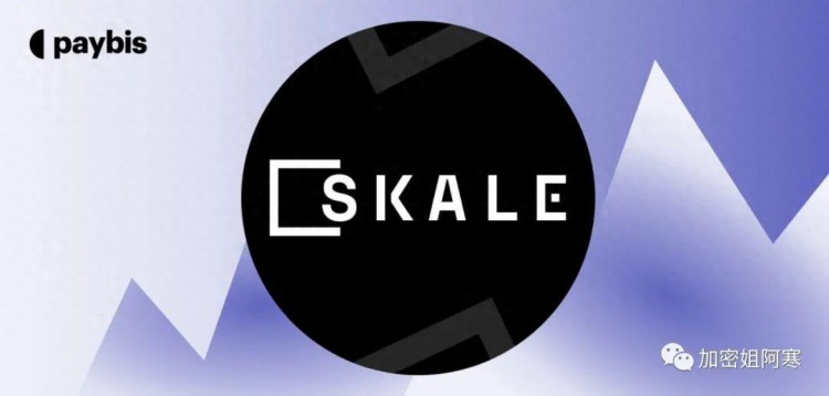 SKALE Network（SKL）：以太坊原生的高性能模块化区块链