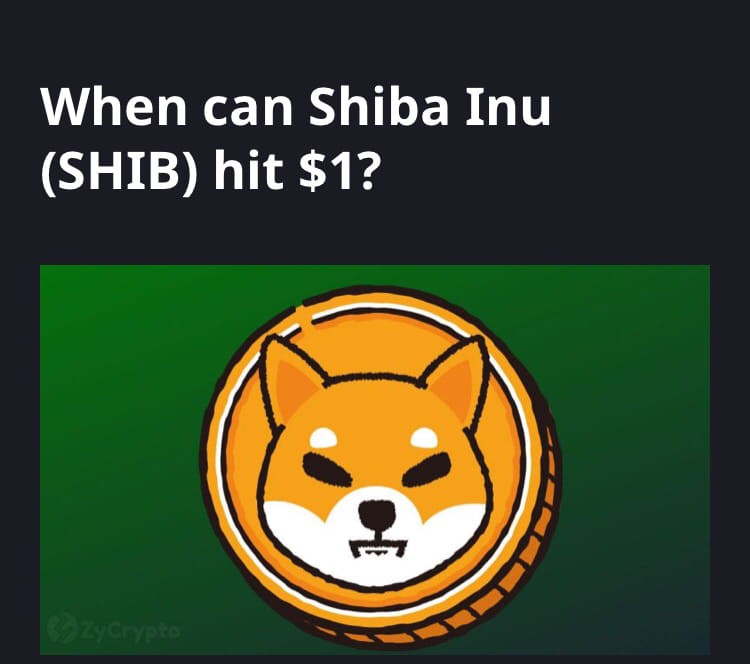 SHIBA INU COIN PRICE 1$IS IT P