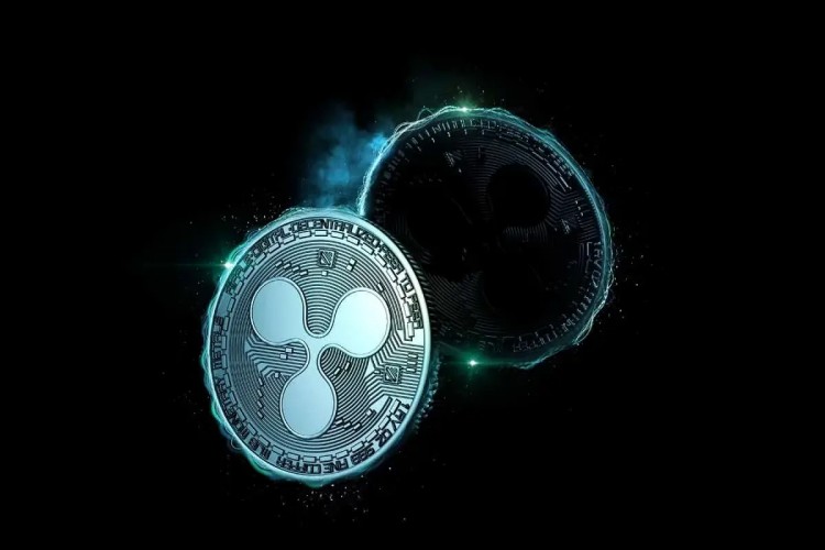 对于比特币上涨感到沮丧？为什麽 GFOX、XRP 和 AAVE 这是更好的替代品