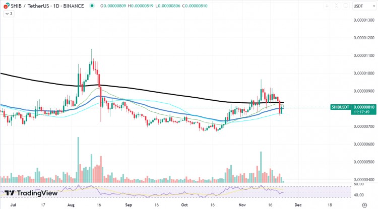 SHIB已经瞄准了下一个阻力位，比特币显示了看涨的形态，XRP即将突破。