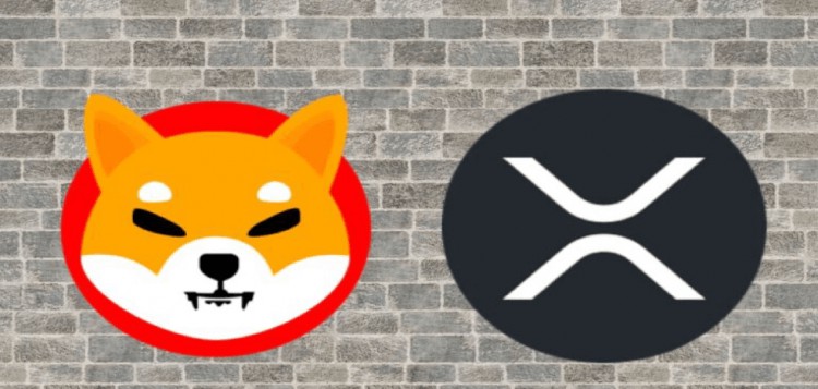 BitTrade 宣布支持借出 XRP 和 Shiba In