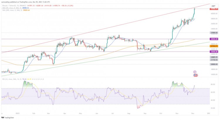 比特币（BTC）不断突破新高，有哪些山寨币会随着情绪上升？