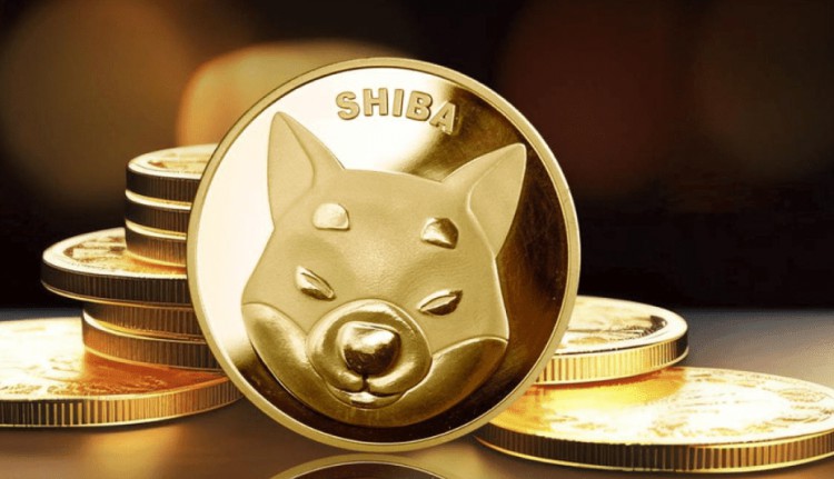 持有最多Shiba Inu的前10个钱包