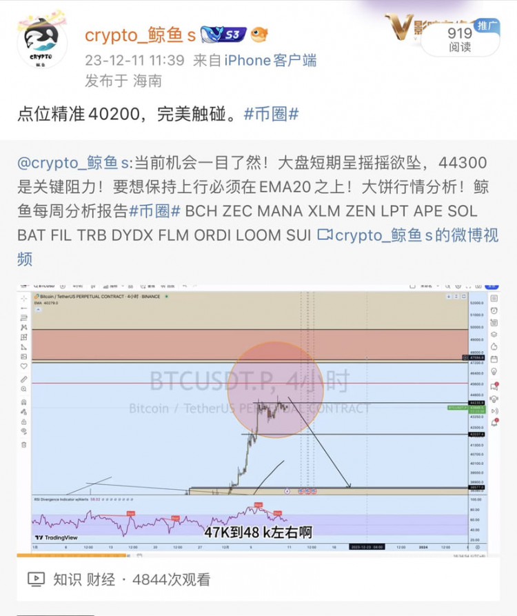 即使在残酷的上升趋势中,回调也是正常且预期的