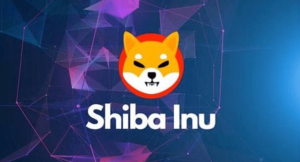 Shiba Inu牛市增长更新 分析师警告462万亿SHIB