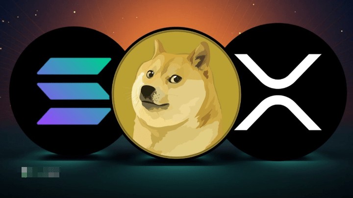 2024 年之前： (XRP)、(SOL) 和 (DOGE) 是否是最明智的加密货币选择？