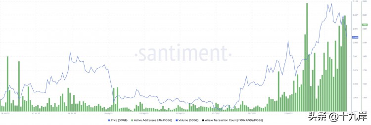 狗币零售商增加狗币持有量，米姆币可见证价格复苏