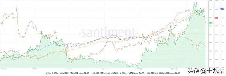 狗币零售商增加狗币持有量，米姆币可见证价格复苏