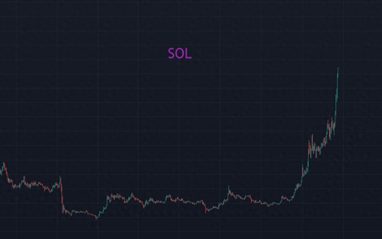 结合SOL和铭文，交易的成功离不开对大势的坚持？