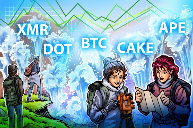 这个星期值得关注 5 大型加密货币：BTC、DOT、XMR、APE、CAKE