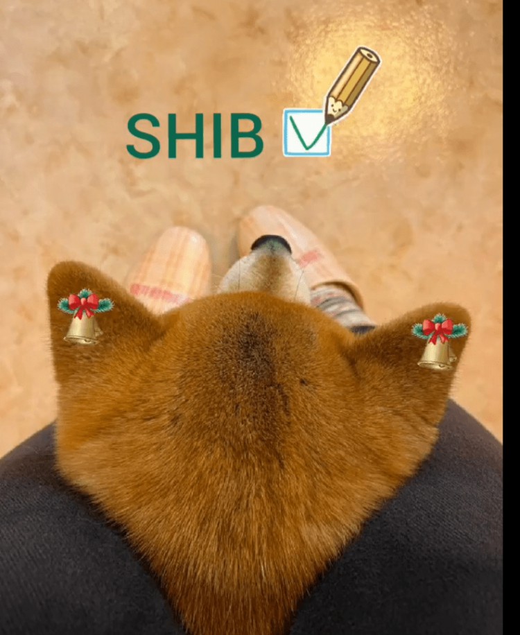 Shiba Inu (SHIB)超越1美元或许只需30年