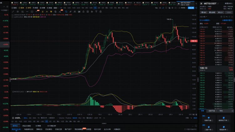 2024年，真正的100倍币，只有这6种