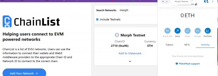 Morph网络免费空投 - 测试网教程 | 以太坊L2 | 早期机会 | 操作简单！