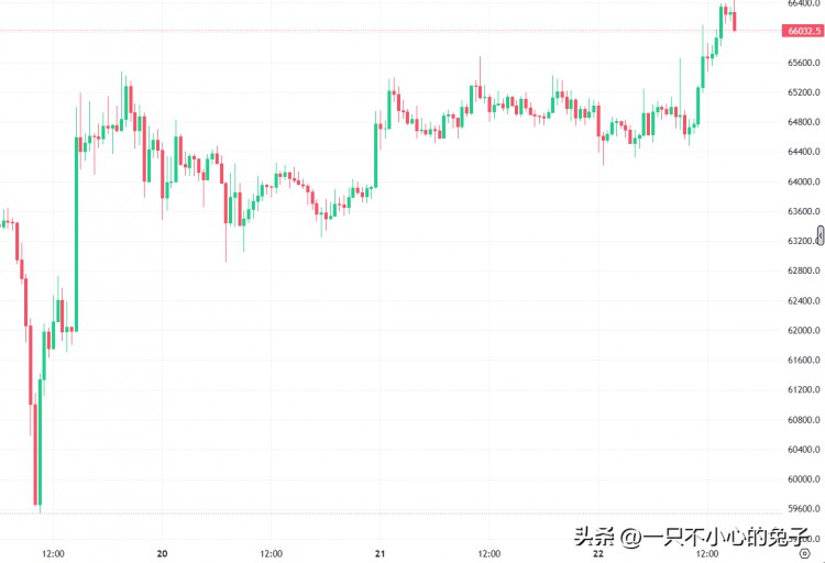 减半效应：比特币价格飙升至 66,000 美元