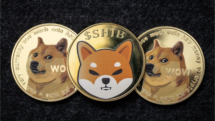 代币大屠杀——DOGE、SHIB 从去年开始，价格下跌，狗币下跌 82%