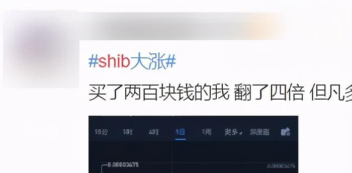 shib也可以炒，30天暴涨百倍？我真的服了币圈