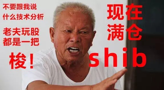 shib也可以炒，30天暴涨百倍？我真的服了币圈