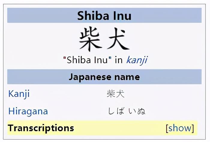 shib也可以炒，30天暴涨百倍？我真的服了币圈