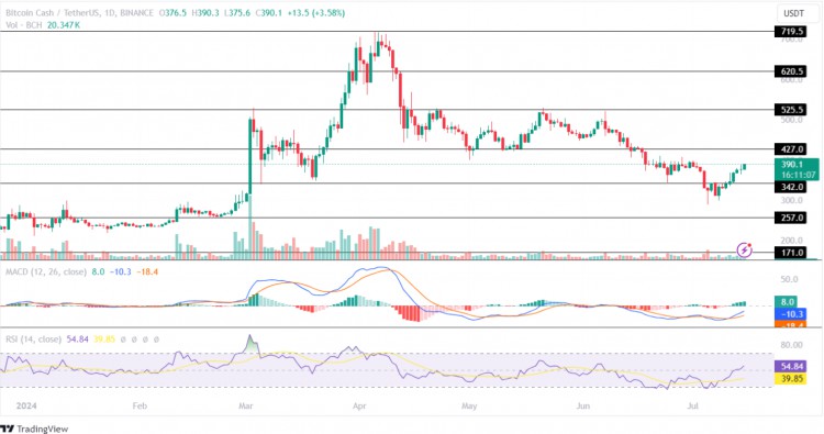 疯狂爆发的比特币山寨币！ORDI、BCH、SATS预示着如何把握牛市机会？